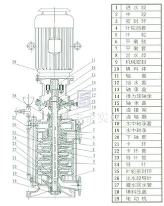 DL、DLR多级泵 结构图片