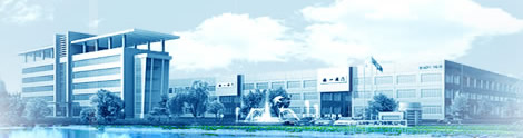 Shanghai Biaoyi Valve Co., Ltd.