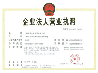 Business License (Origin)