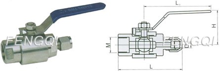 PN 6.4 MPa- Tube Fitting Lagging Extension to Female NPT with Gauge Ports-Dimensions