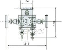 Structure of 1151 5-Valve Manifolds pic 2 