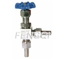 J24W Angle Globe Valve