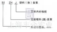 ZHJ型料(渣)浆泵 型号说明图