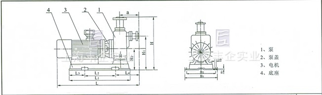 ZWL型直联式自吸无堵塞排污泵 结构示意图