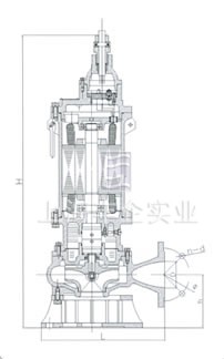 BQW20—40—7.5矿用型隔爆排污排沙潜水电泵 外形尺寸图
