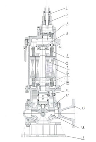 BQW防爆潜水泵 结构简图