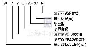 CYZ-A自吸油泵 型号意义