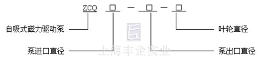 ZCQ磁力泵 型号说明