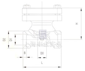 DH61F低温止回阀 结构图