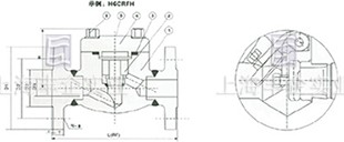 150-600Lb 旋启式锻钢法兰止回阀