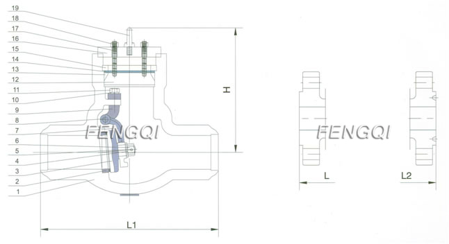 Pressure Seal Check Valve  