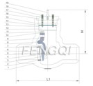 Pressure Seal Check Valve