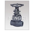 Forged Steel Bolted Bonnet Gate Valves