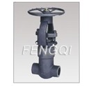 Forged Steel Pressure Seal Gate Valves