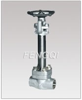 Forged Cryogenic Gate Valves, Threaded and Socket weld Ends