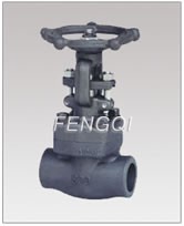 Forged Steel Bolted Bonnet Globe Valves, Threaded and Socket weld