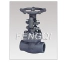 Forged Steel Bolted Bonnet Globe Valves