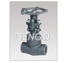 Forged Steel Welded Bonnet Globe Valves