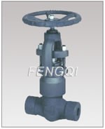 Forged Steel Pressure Seal Globe Valves, Threaded and Socket weld