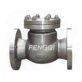 Titanium Swing Check Valves