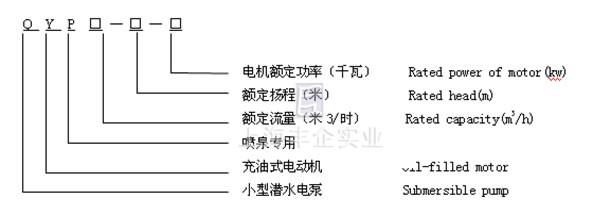 QYP潜水电泵 型号说明