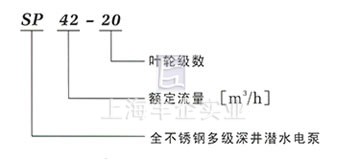 SP潜水泵 型号说明