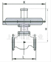 自力式差压调节阀 结构图1